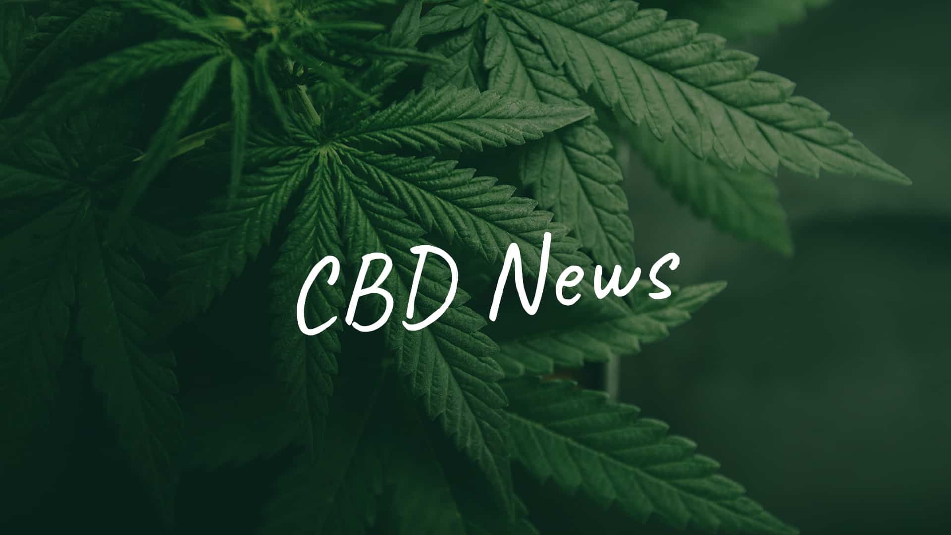 Cannabis CBD Kaufen