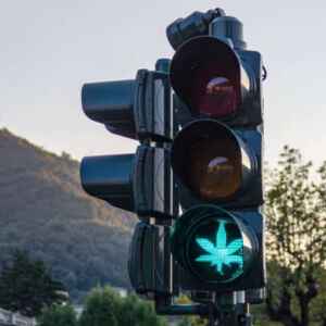 Ampel mit grünem Signal symbolisiert des Start des zweiten Cannabis THC Pilotprojekt in der Schweiz. Das grüne Signal ist ein leuchtendes Hanfblatt.