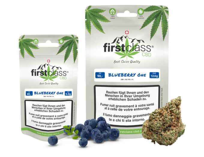 cbd-blueberry-angebot