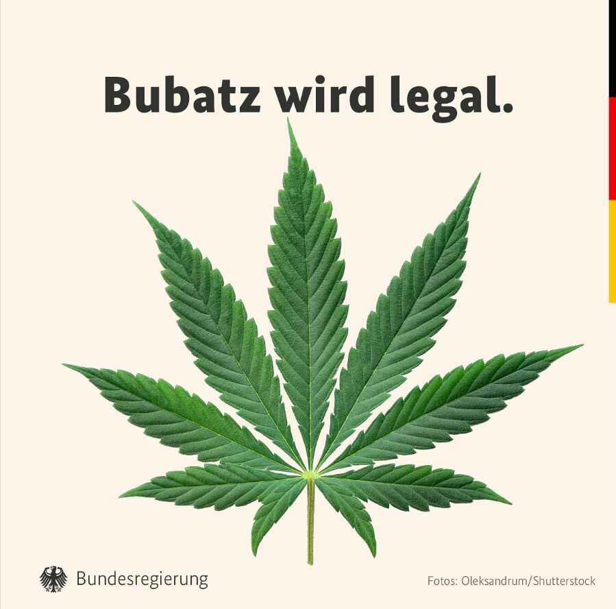 Rechtslage Cannabis – ein Vergleich zwischen Deutschland und Schweiz