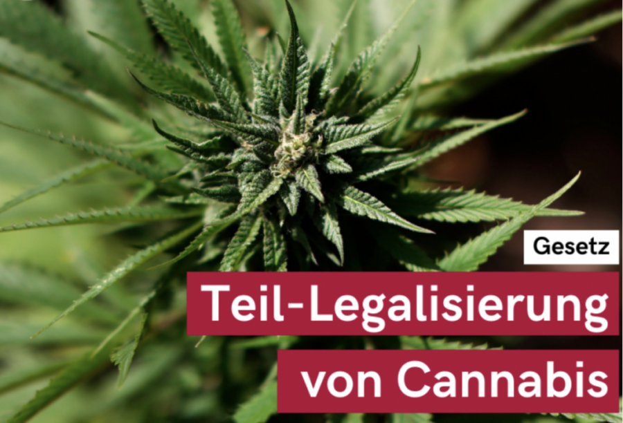 Presseschau Cannabis Maerz 2024