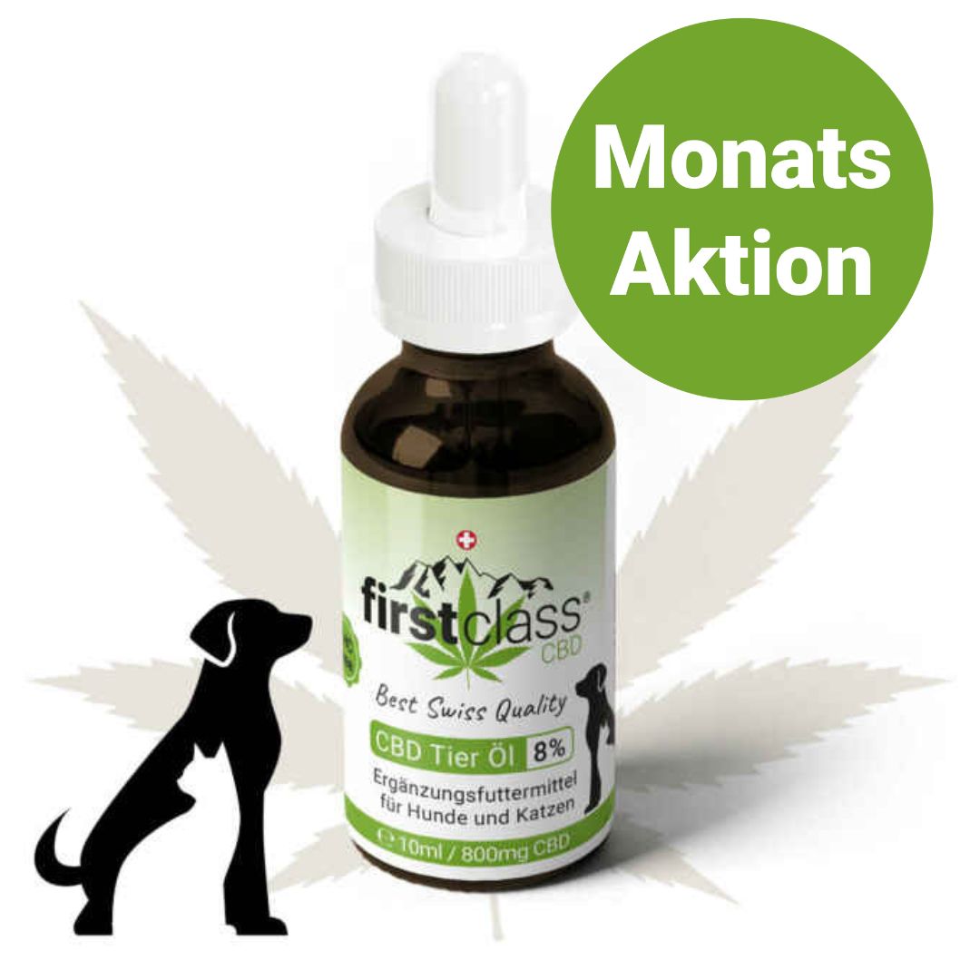 Firstclass CBD Tieröl 8% in der Monatsaktion