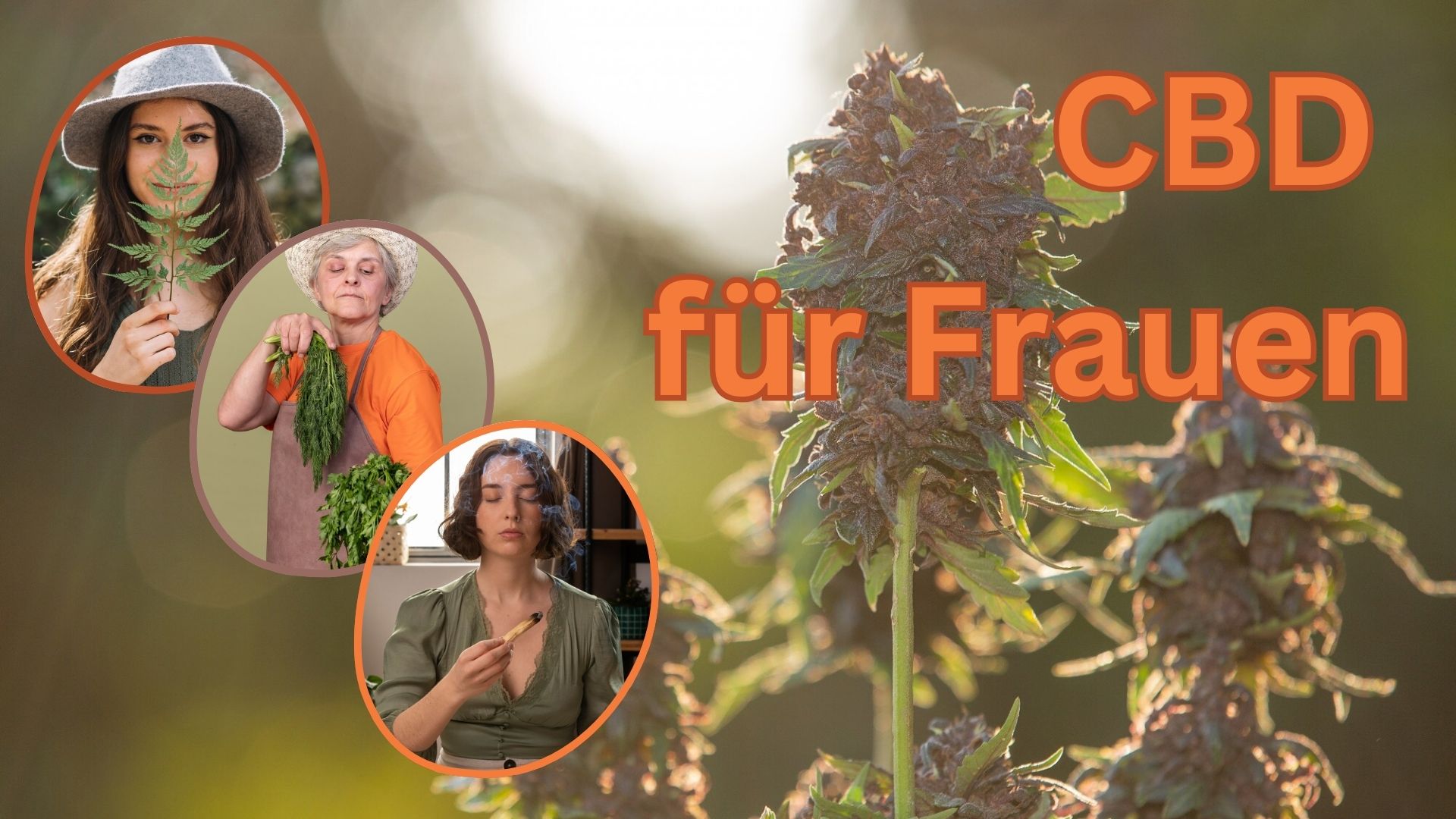 CBD für Frauen: Bild mit 3 Frau die Gesundheit darstellen, danke CBD Pflanzen