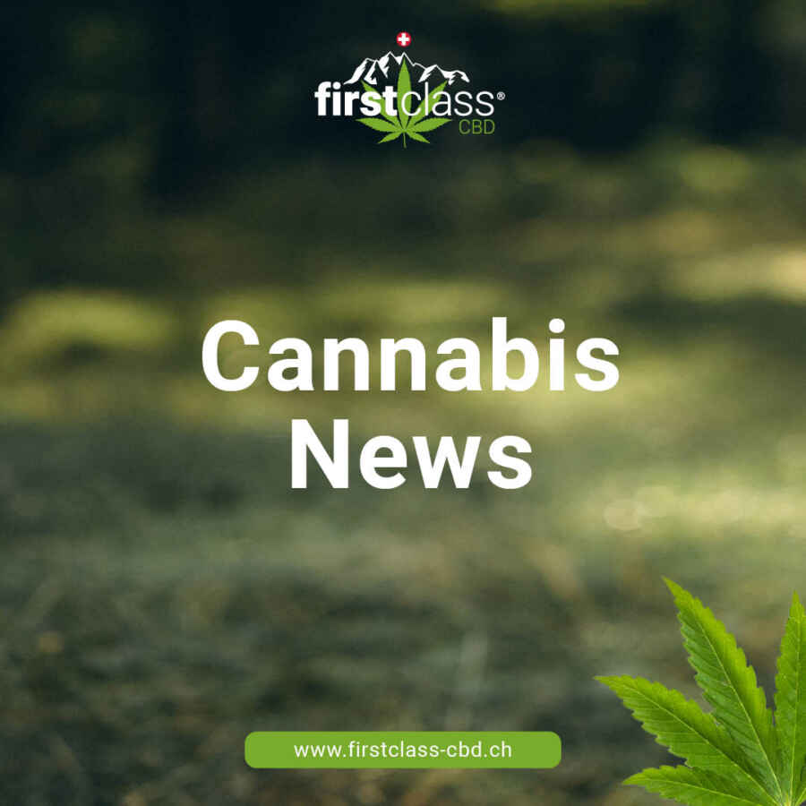 Deutscher Bundestag stimmt für neues Cannabis-Gesetz – Legalisierung in Etappen geplant