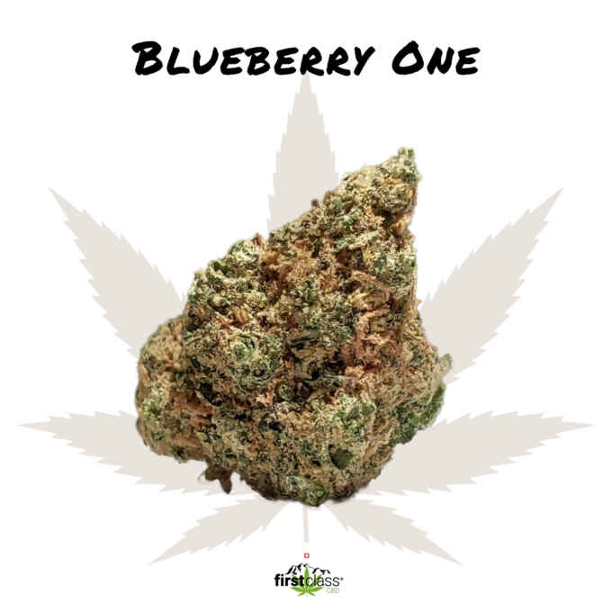 CBD Blüten Blueberry One