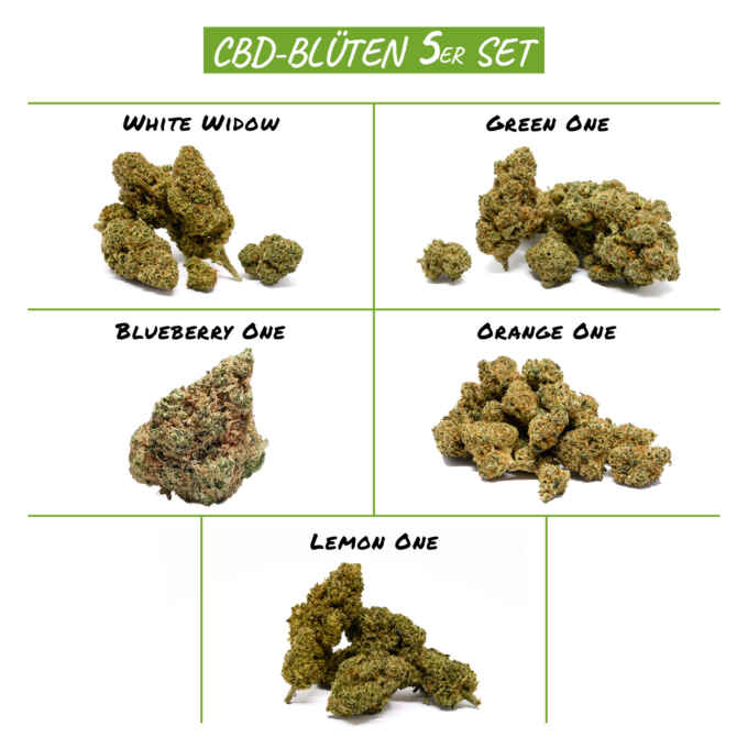 CBD Blüten 5 Sorten – Premiumqualität von firstclass CBD