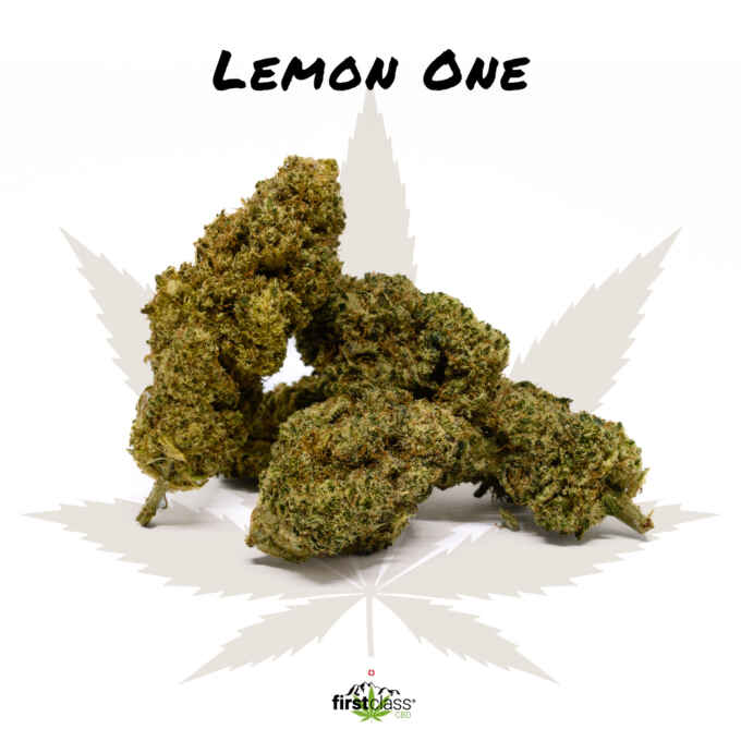 CBD Blüten Lemon One