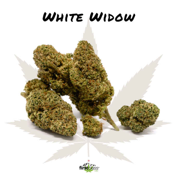 CBD Blüten Withe Widow