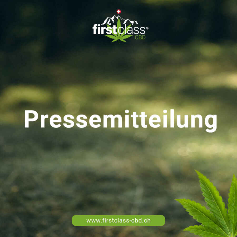 Erste Ergebnisse der Basler Cannabis-Studie: Konsumverhalten und Rückmeldungen im Fokus