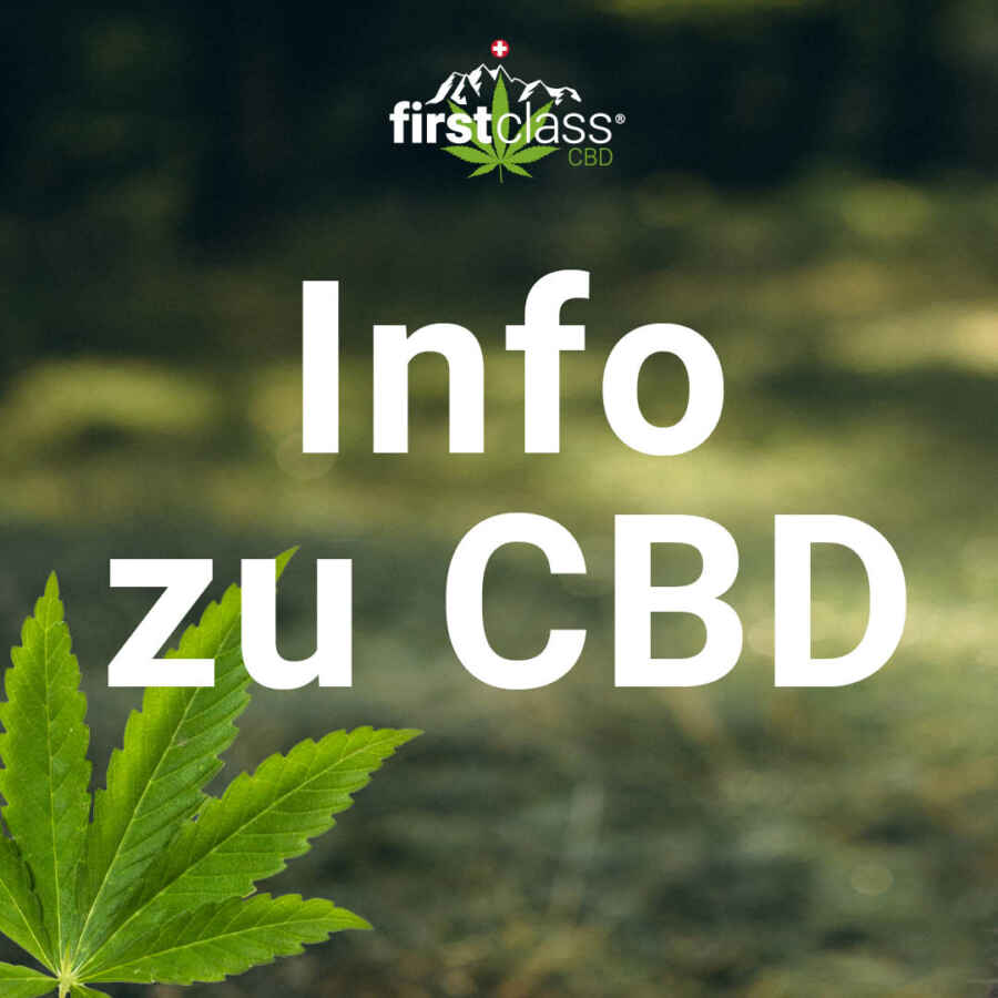 CBD und Yoga als ganzheitliche Kombination für mehr Wohlbefinden