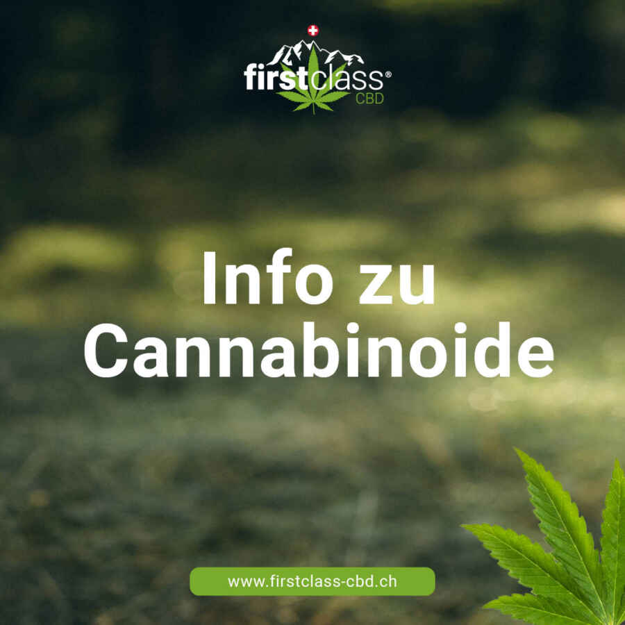 Illustration zur Wirkung von Cannabis auf das menschliche Gehirn laut aktueller Forschung