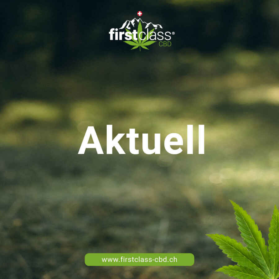 Rückläufiger Konsum von Alkohol und Cannabis bei Jugendlichen in der Schweiz laut TeleBärn-Umfrage im Januar 2024