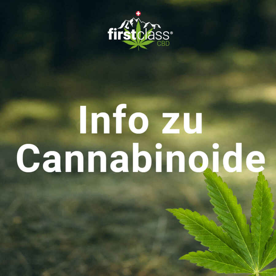 Schweizer Biobauer beteiligt sich am offiziellen Cannabis-Pilotprojekt des Bundes – Bericht auf rheintal24.ch, aufgenommen in die Presseschau von firstclass CBD.