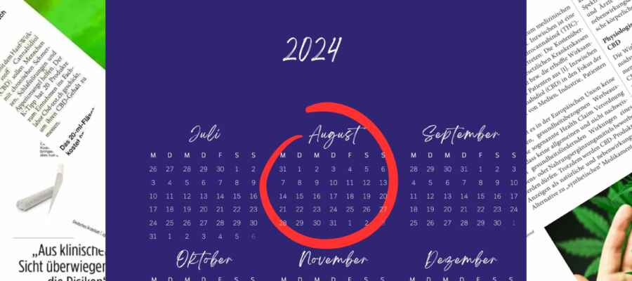 August 2024: Gesellschaftliche Debatten und Hanftrends