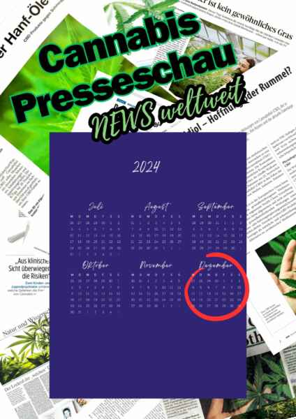 Dezember 2024: Cannabis-Rückblick auf Entwicklungen zum Jahresende