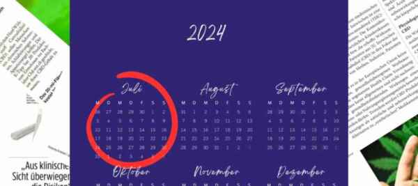 Juli 2024: Rechtliche Rahmenbedingungen und Marktveränderungen