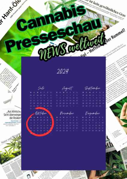 Oktober 2024: Beiträge zur Cannabisentwicklung kompakt dargestellt