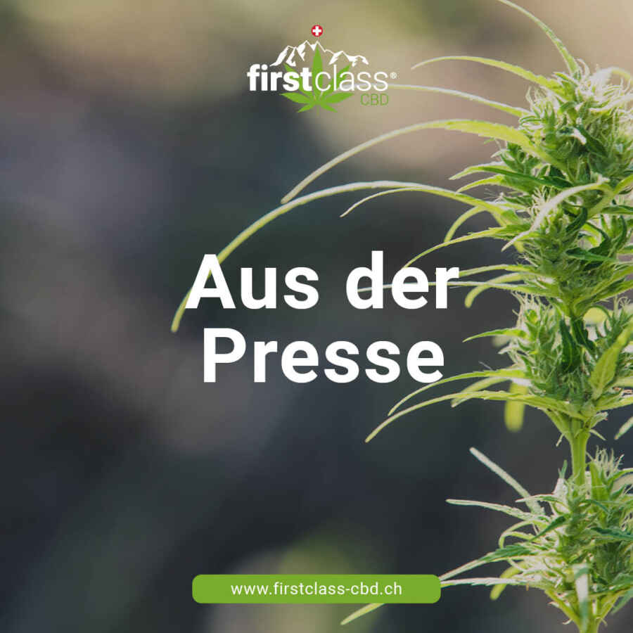 Beugehaft für Konsumenten: Kiffer sollen Dealer verraten – neue Regelung sorgt für Kritik