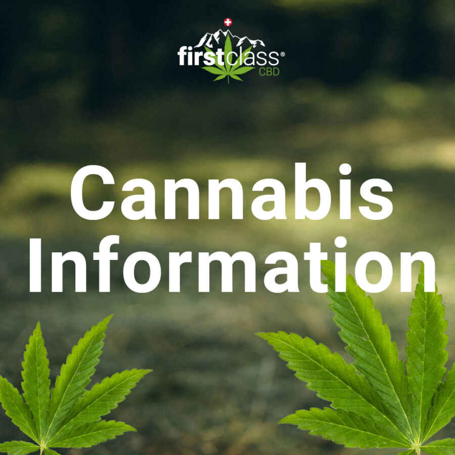 Gebäude der Canexis Pharma AG nach Swissmedic-Zulassung für medizinisches Cannabis in der Schweiz