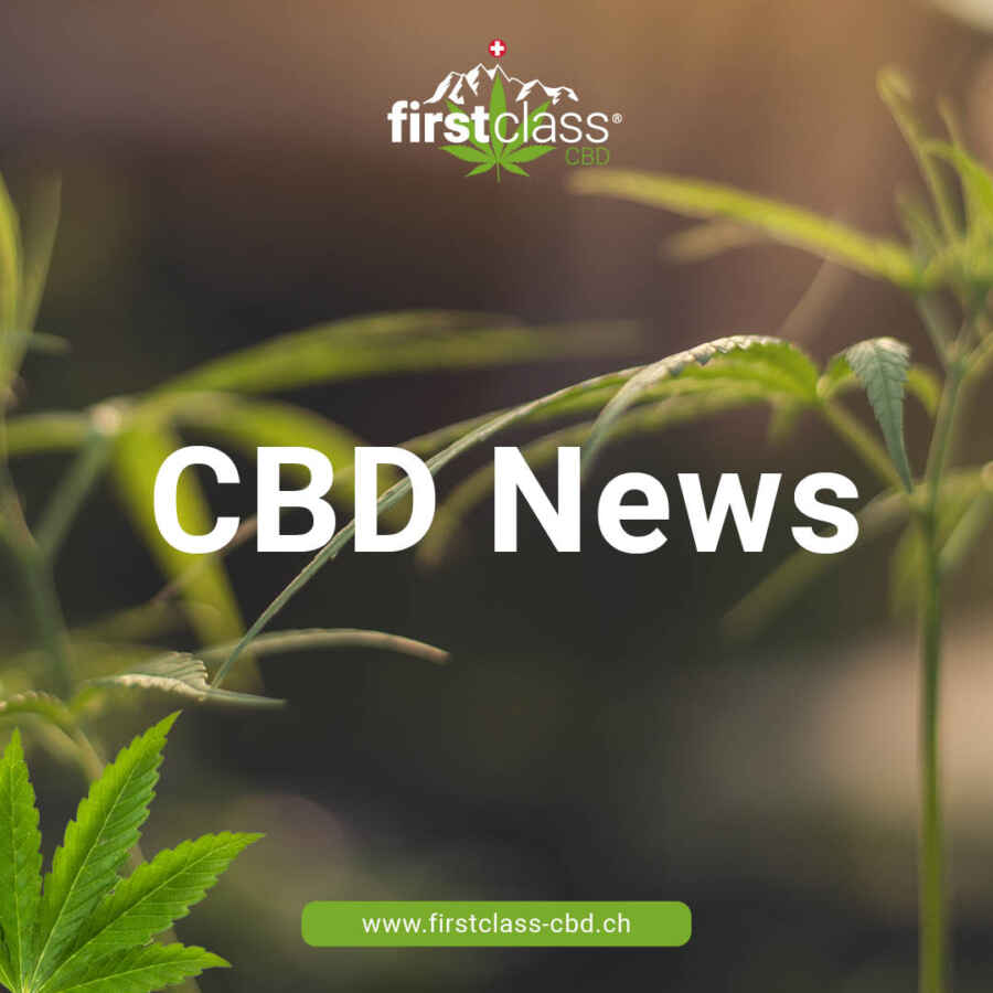 Pfalz-Express berichtet über CBD-Dabbing als alternative, weniger schädliche Konsumform im Vergleich zum Rauchen