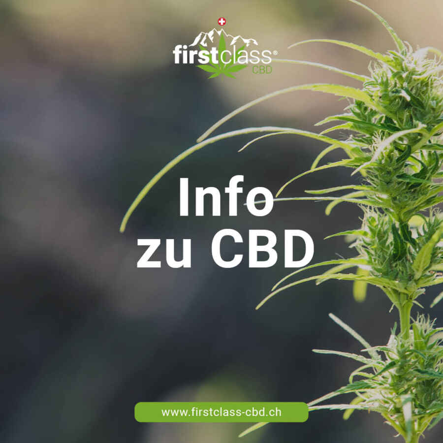 Hanf Magazin erklärt die Unterschiede in der medizinischen Wirkung von CBD und CBG