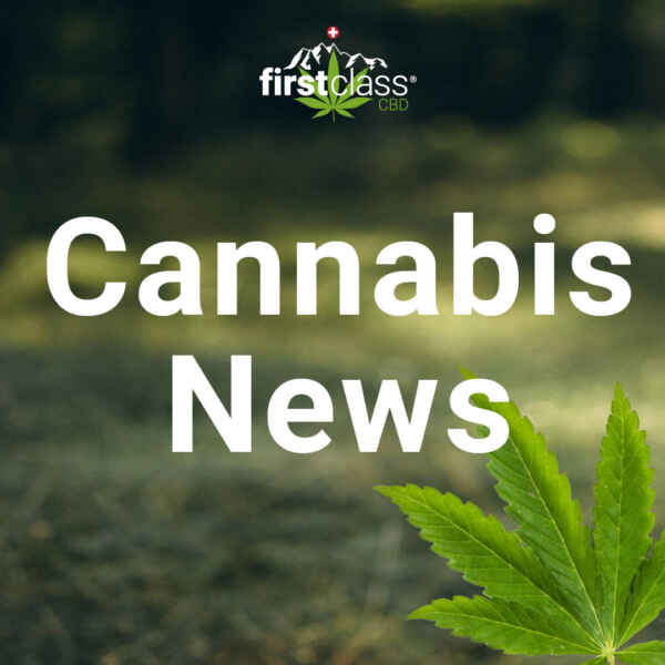 Schweizer Parlament beschliesst Fristverlängerung zur Regulierung des Cannabismarktes