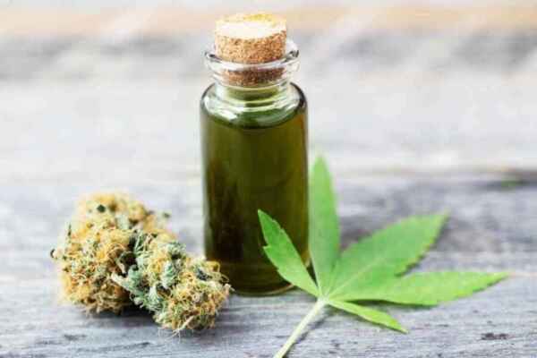 Cannabis Tinktur selber erstellen – Rezpet bei First class CBD