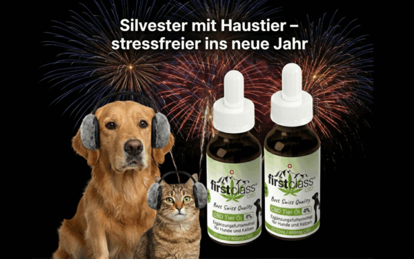 CBD Tier Öl zwei Fläschen 8% und 4% mit einem Hund und einer Katze die Kopfhörer tragen und im Hintergrund ein Feuerwerk und der Slogan dazu heisst "Silvester mit Haustier-stressfreier ins neue Jahr"