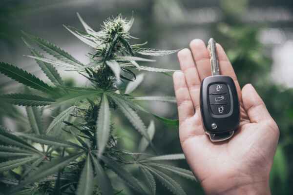 Darstellung zum THC-Grenzwert im Schweizer Strassenverkehr und zur Diskussion um die Nulltoleranz-Regelung