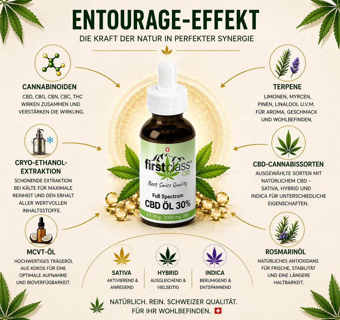 Entourage-Effekt Infografik mit CBD Öl, Cannabinoiden, Terpenen, CBD-Cannabissorten, MCVT-Öl, Rosmarinöl und Sativa Hybrid Indica