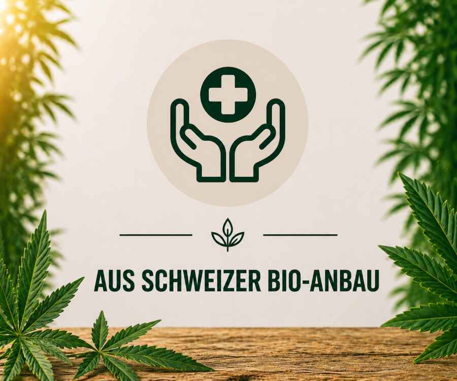 CBD aus Schweizer Bio-Anbau – natürliche Herkunft und kontrollierte Qualität
