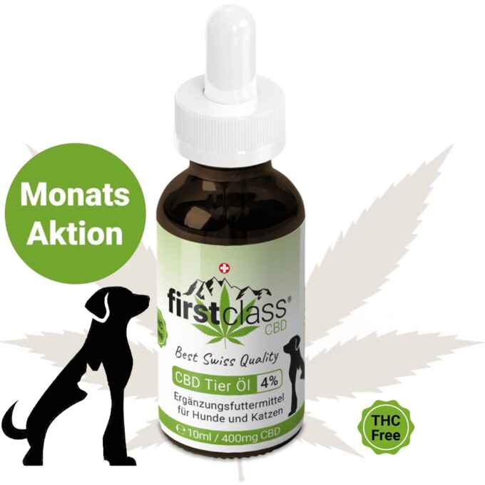 Monatsaktion CBD Tieröl 4% für Hunde und Katzen