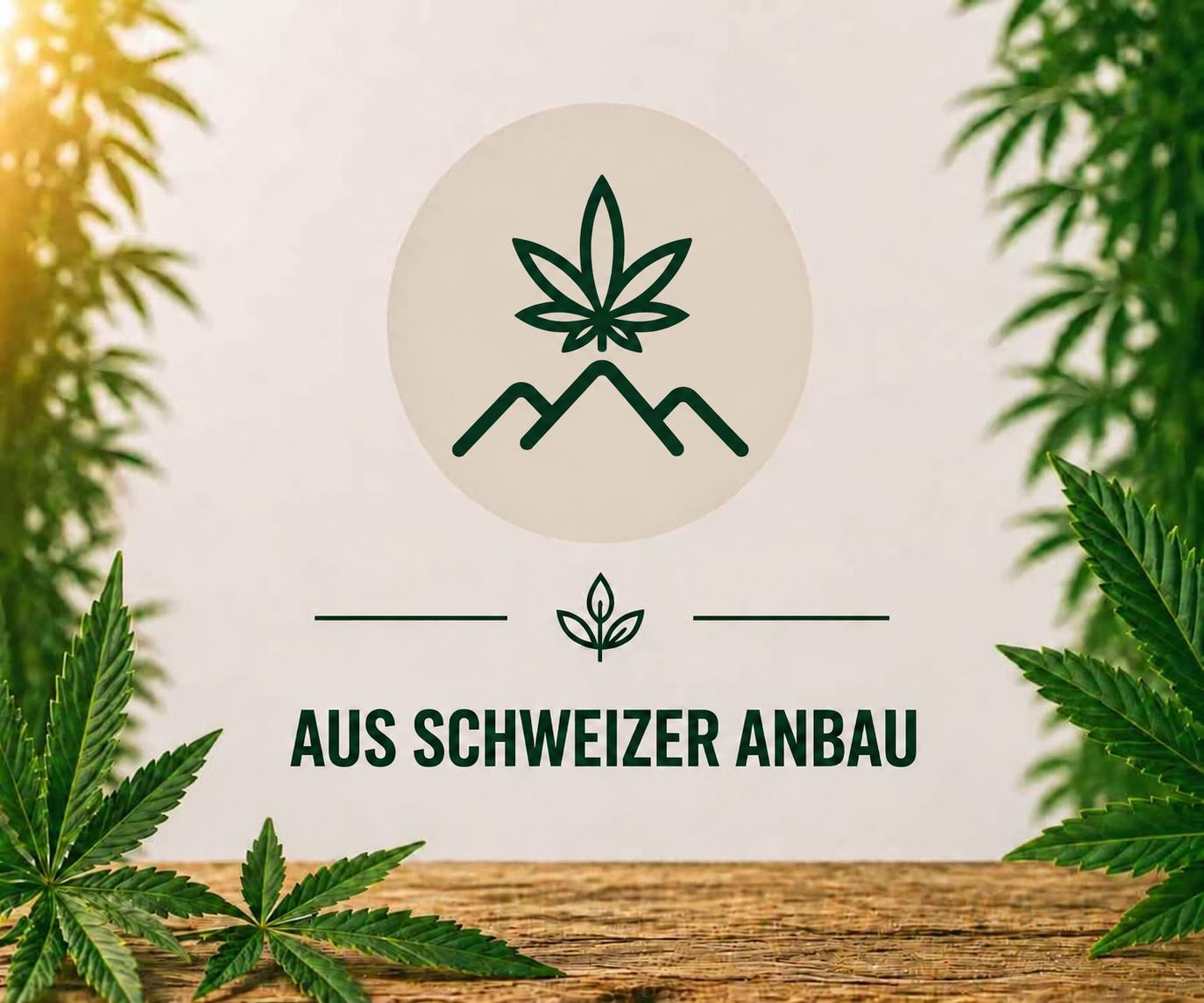 CBD aus Schweizer Anbau – natürliche Herkunft und kontrollierte Qualität