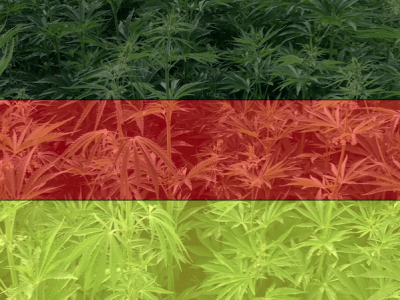 Cannabis Reform Deutschland dank legalen Eigenanbau und Modellversuchen
