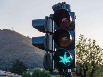 Ampel mit grünem Signal symbolisiert des Start des zweiten Cannabis THC Pilotprojekt in der Schweiz. Das grüne Signal ist ein leuchtendes Hanfblatt.