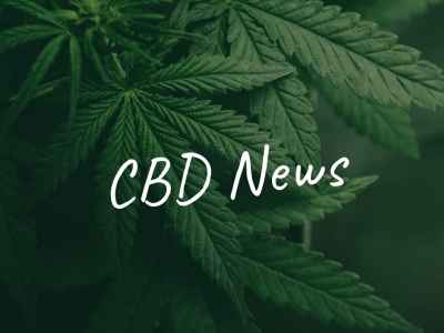 Cannabis CBD Kaufen