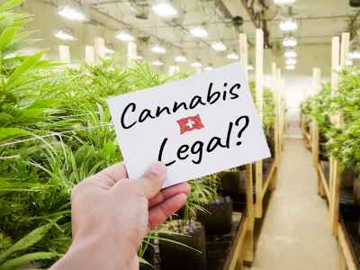 Wann wird Cannabis in der Schweiz Legal?